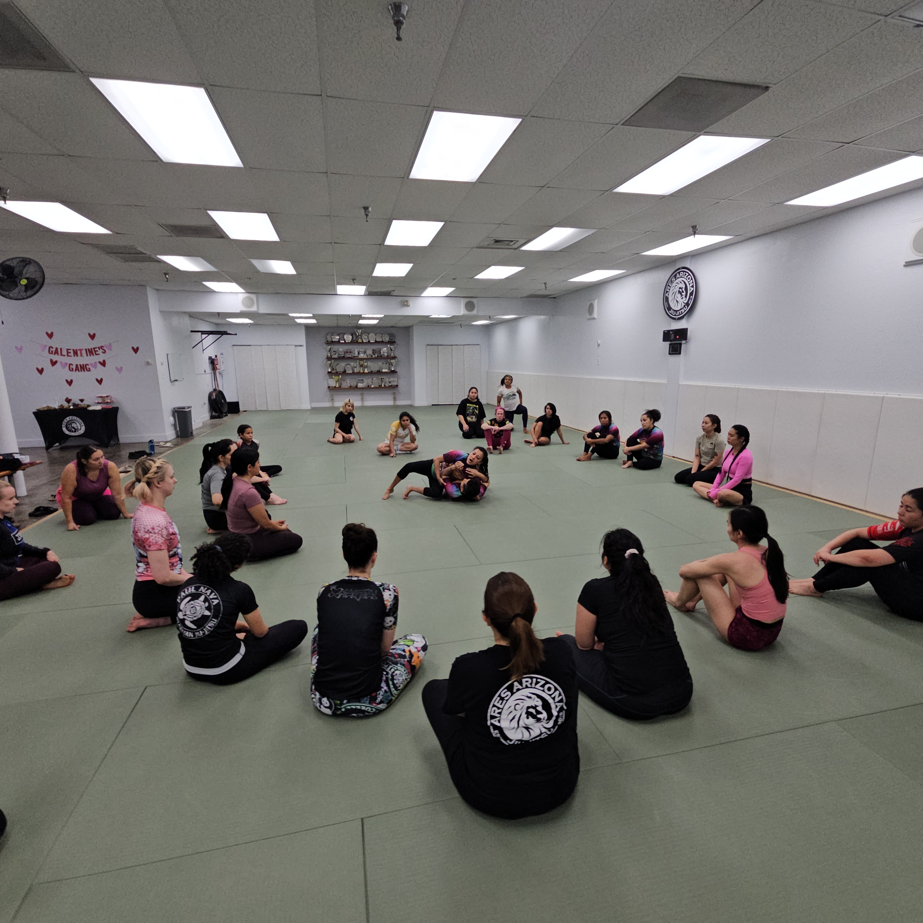 Ares Arizona BJJ Academy Mesa AZ